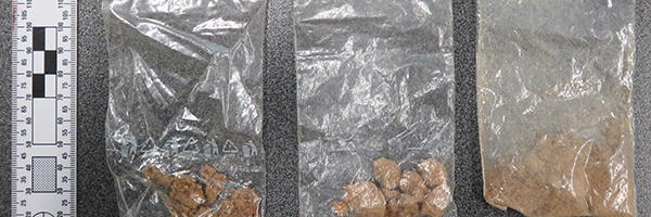 Reoveeuuring 18 Eesti linnas: 2025. aastal kasvas narkootikumide tarvitamine, erand oli Valga