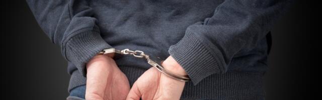 Tukao ljude na utakmici kod Leskovca: Jedna osoba teže povređena