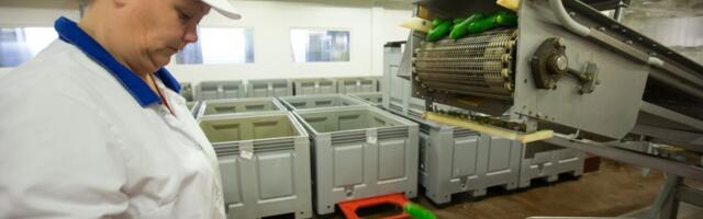 Salvesti tegevjuht: tõstame palku kaks korda aastas