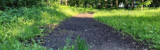Rada kasvab kinni. Kuidas mitte langeda depressiooni!