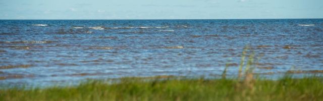 Joobes mees uppus eile Peipsi järve