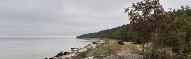 ILMATEADE | Pühapäeval võib tulla lund