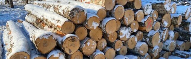 Raie vähendamine riigimetsas paneb puidutöösturid muretsema