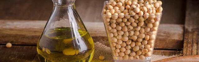 Sojaõli on seotud geneetiliste ja neuroloogiliste kahjustustega