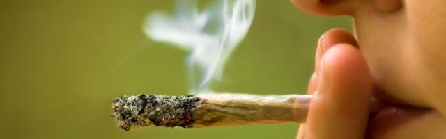 Uuring: marihuaana kahjustab loodet juba  raseduse esimesel trimestril
