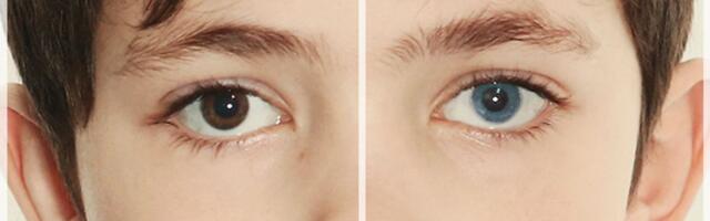 Diskrimineerimine ühiskonnas: Jane Elliotti eksperiment