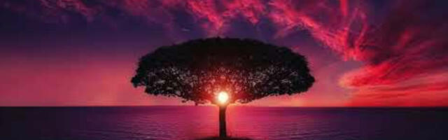 5G, nutiseadmed ja mRNA vaktsiinid on omavahel seotud