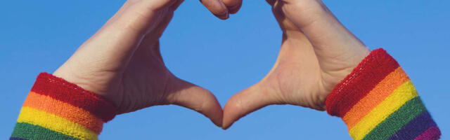 Abieluvõrdsuse ja kooseluseaduse esimene lugemine läbis eile Riigikogu