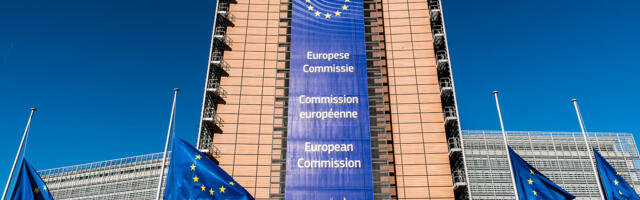 Rafael Pinto Borges: Euroopa-vastane komisjon
