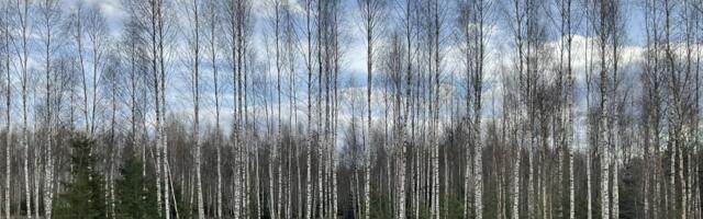 Vestman – jätkusuutlik lähenemine maa kasutamisele