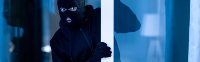Kummaliste sissemurdmiste laine jätkub – vargad sisenevad jälgi jätmata