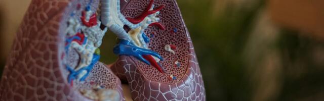 Haruldase tsüstilise fibroosiga inimesed elavad aina kauem