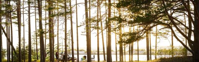 PÄEVAHOROSKOOP: pühapäev, 11. mai