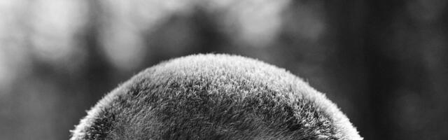 Sirje Runge valgus. Vabaneda ühiskondlikest survetest, mis pitsitavad täies elujõus keskealist inimest