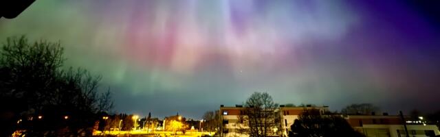 ILLE PÕLDMA virmaliste galerii