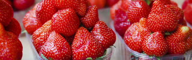 ÜLLATAV PALJASTUS: uuring näitas, et turult on kasulik neid maasikaid osta