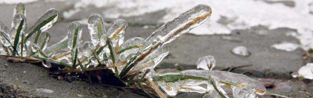 ILMAPROGNOOS | Nädala lõpus saabub taas jahedam õhumass