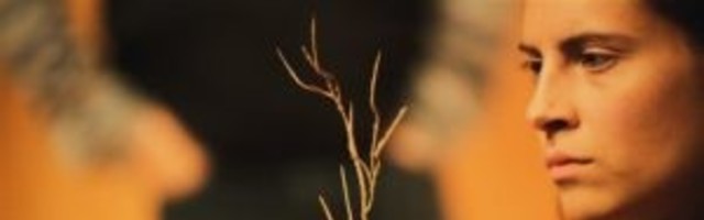 „Draama“ identiteedikriis  on (taas) möödas