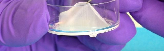 L’Oréal kasutab toodete testimisel kunstlikku inimnahka