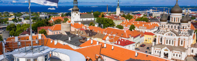 KOLUMN ⟩ Jüri Kotšinev: miks rahvuskonservatiivide tegevus on tähtis