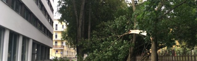Tallinnas jäi inimene tormis murdunud puu alla