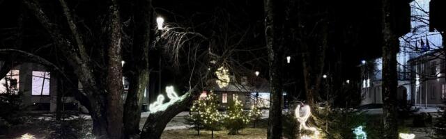 Tõrva keskväljak on saanud maagilise ilme tänu valgusinstallatsioonile „Mets linnas“