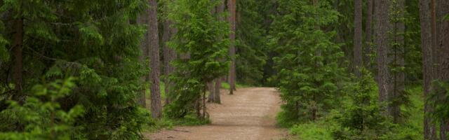 Urheilua ja luontoa Virossa: Liikuntaa metsissä ja merenrannoilla