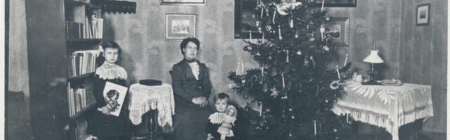 JÕULUPUU AEG | Pühadepuu tahab juua liiter vett päevas