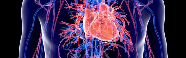 Baltikumis on Euroopa kõrgemaid südame ja veresoonkonna haiguste esinemissagedusi