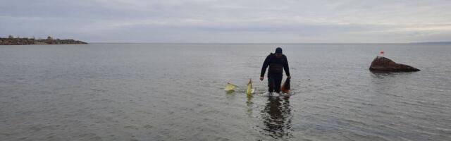 Novembrikuu lõpuni on lõhejõgedest kalapüük keelatud