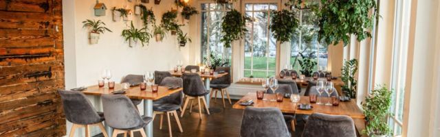 Uuring: eestlased söövad väljas tunduvalt vähem kui leedukad