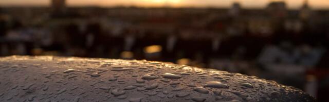 ILMATEADE | Soe päev, aga ära jäta vihmavarju koju