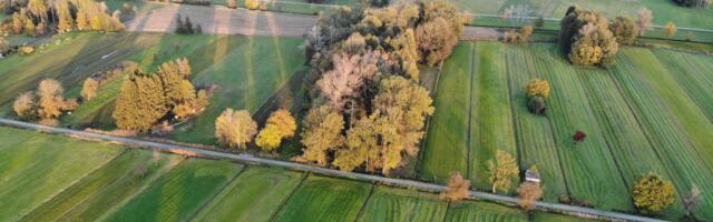 Maaomanikud hakkasid saama maamaksu teavitusi