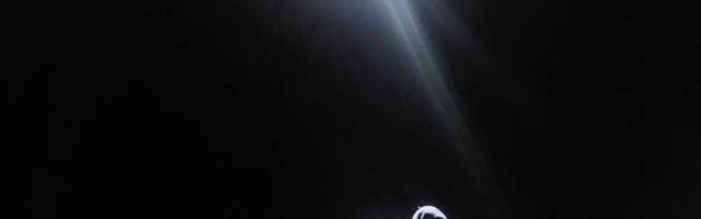 Keskkonnaamet tegi jahimeeste abistamiseks 217 droonilendu