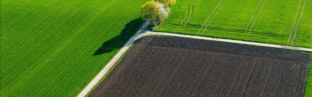 Riik plaanib muuta ruumiandmete kättesaadavust