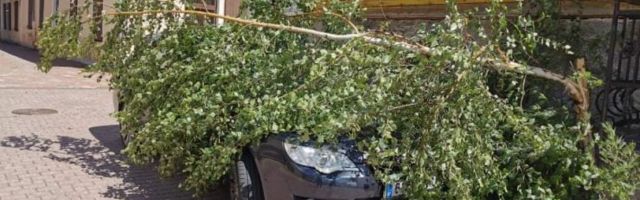 LUGEJATE VIDEOD JA FOTOD | Vaata, kuidas torm Eestis puid murdis ja batuute tuuseldas
