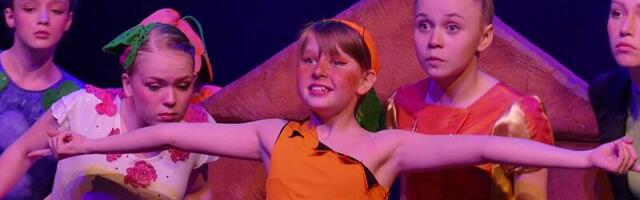 Narvas algab rahvusvaheline laste ooperi- ja balletifestival