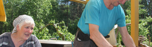 KASULIKUD NIPID | Saunavihad peaksid juba kuivama