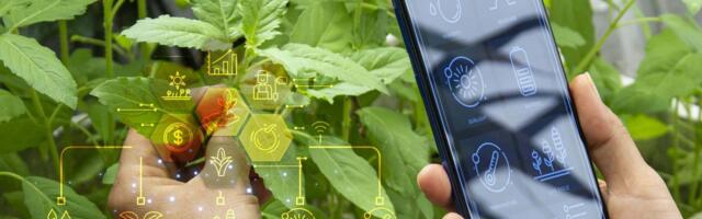 Tark aiandus: kuidas nutikad süsteemid muudavad aia hooldust ja parandavad heaolu