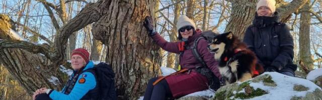 KIRI LAIULT | Mõtteis ikka veel Saarnakil