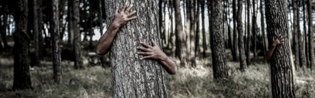 Nähtamatuks tegevast materjalist oleks kasu ka rohelise energia tootmisel