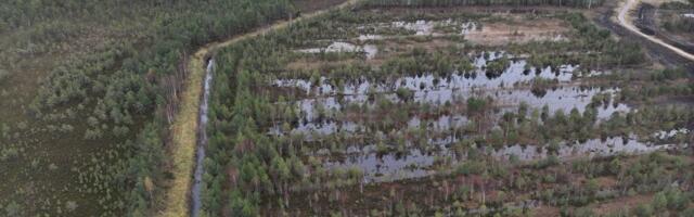 Eestis käib turba tootmine mühinal, nüüd on lõpuks esimest korda üks turbatootmisala ka taastatud