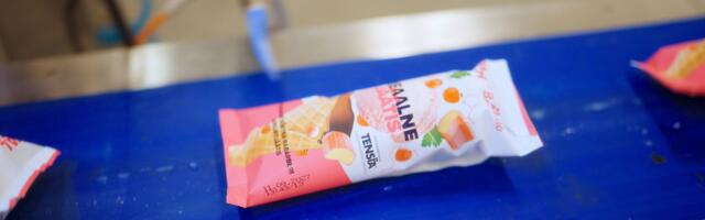 TalTech tegi kiudainete ja heade kõhubakteritega jäätise