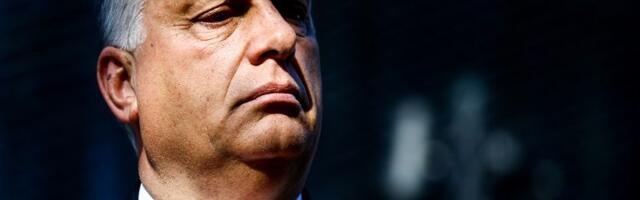 A “Phased Leadership Transition” Might Have Saved Fidesz