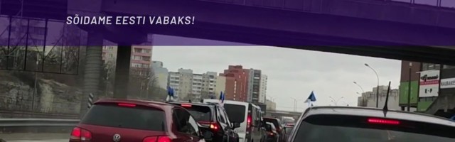 Reporter: Laupäeval korraldatud koroonakeeldude vastaste automeeleavalduste järeldused