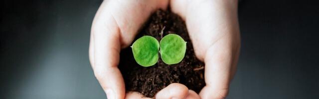 Maaülikool kuulub keskkonnasäästlike ülikoolide hulka