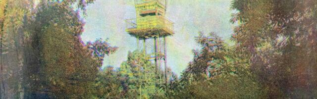 Murdumishetk Palganeemel