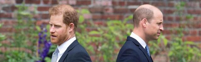 Vaenukirves maetud: William ja Harry sõlmisid vaherahu