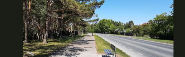 VIIMSILASED IMESTAVAD: miks vald pani pingi kõnnitee valele poolele?