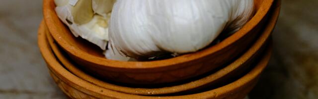 Looduse enda antibiootikumid – talvevaru köögis